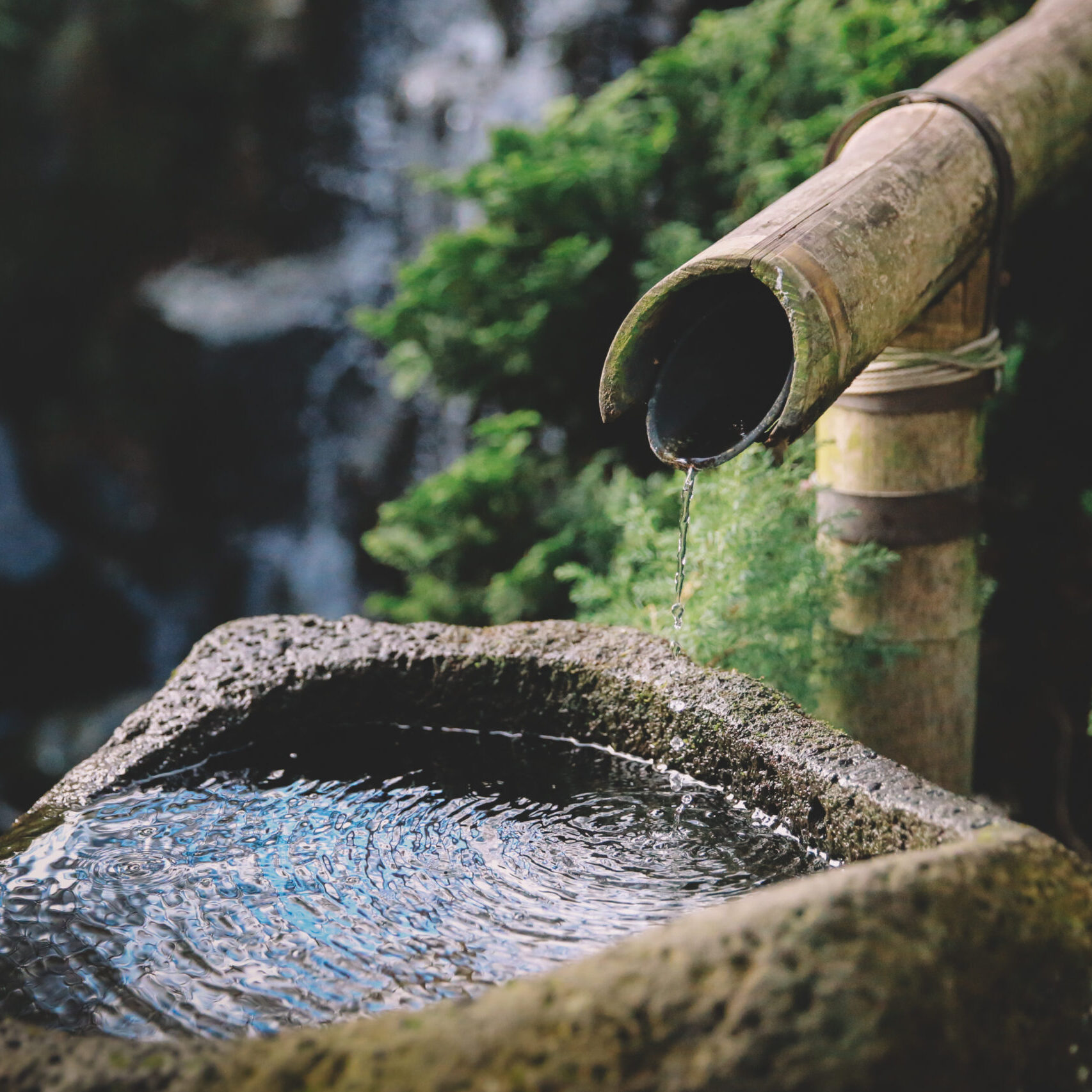 Bamboo,Water,Fountain